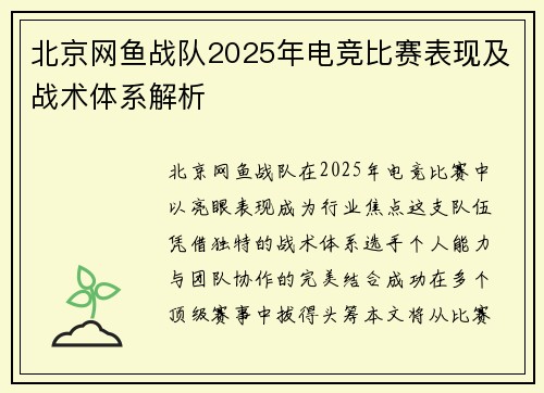 北京网鱼战队2025年电竞比赛表现及战术体系解析